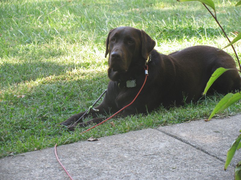 2010_09_11 Hemi Sticks_0001.JPG